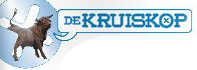Kruiskop